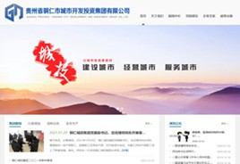 独山城市开发投资集团有限公司